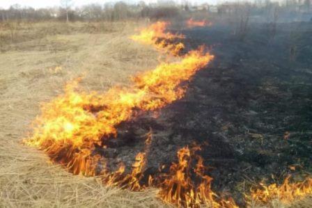 Сжигание травы обернулось потерей имущества.
