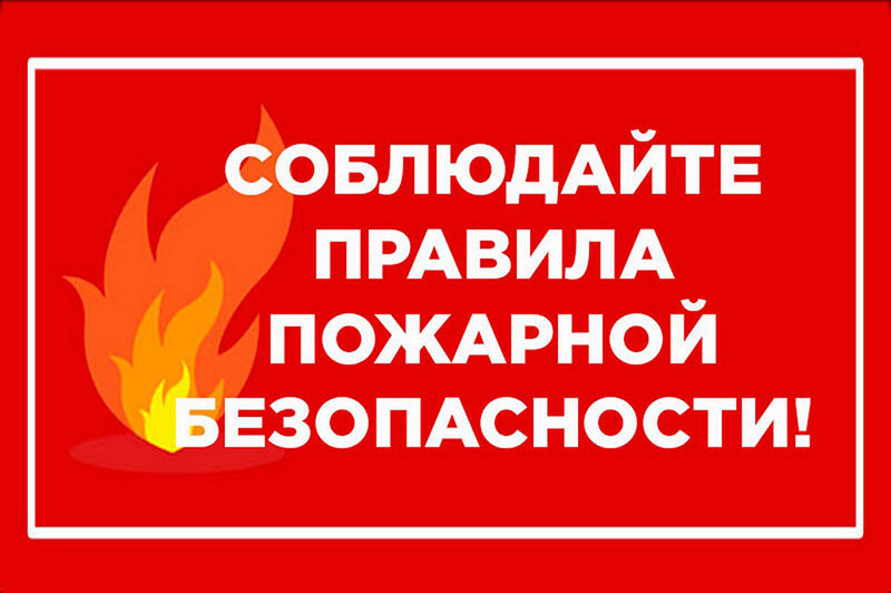 Анализ пожаров, гибели и травмирования людей на пожарах в Хоринском районе за 11 месяцев 2023 года..